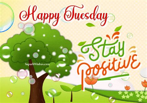 tuesday positive gif|Happy Tuesday GIFs